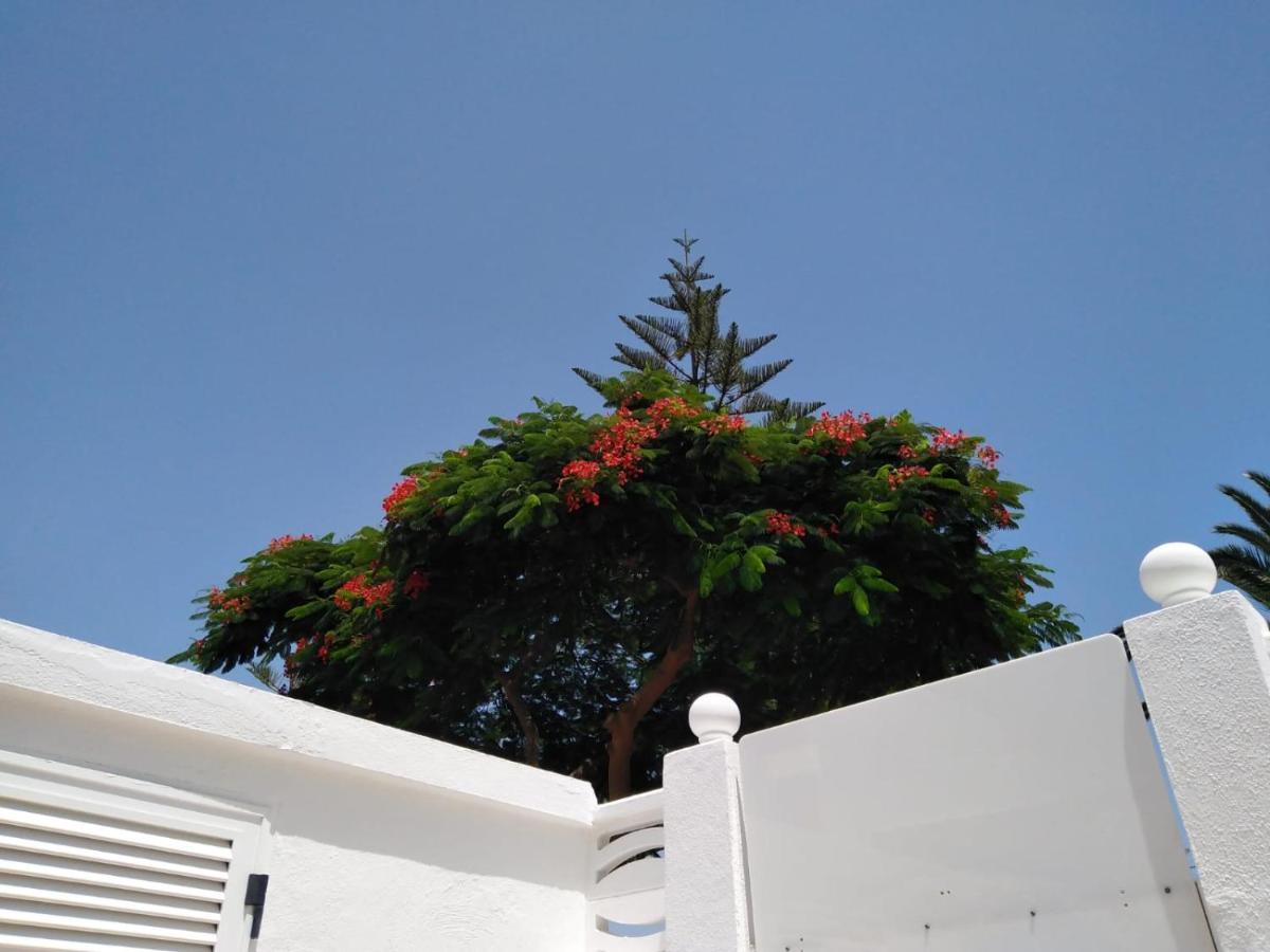 House Lilu - Luminoso Monolocale Apartment Arona  Exterior photo