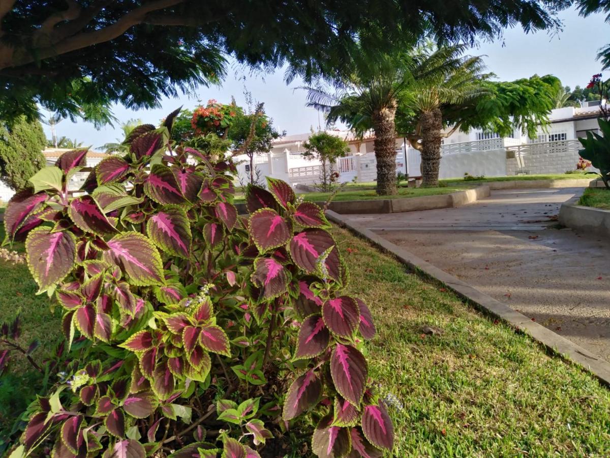 House Lilu - Luminoso Monolocale Apartment Arona  Exterior photo